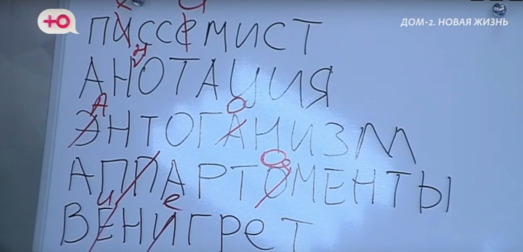 Самым неграмотным топчиком Дома 2 оказался Тигран Салибеков