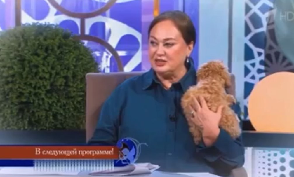 Лариса Гузеева не помогла найти Дмитрию Шишкану невесту в "Давай поженимся"