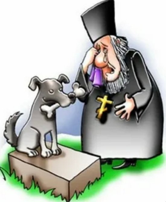 Зрительский обзор последних событий (29.01.2026)