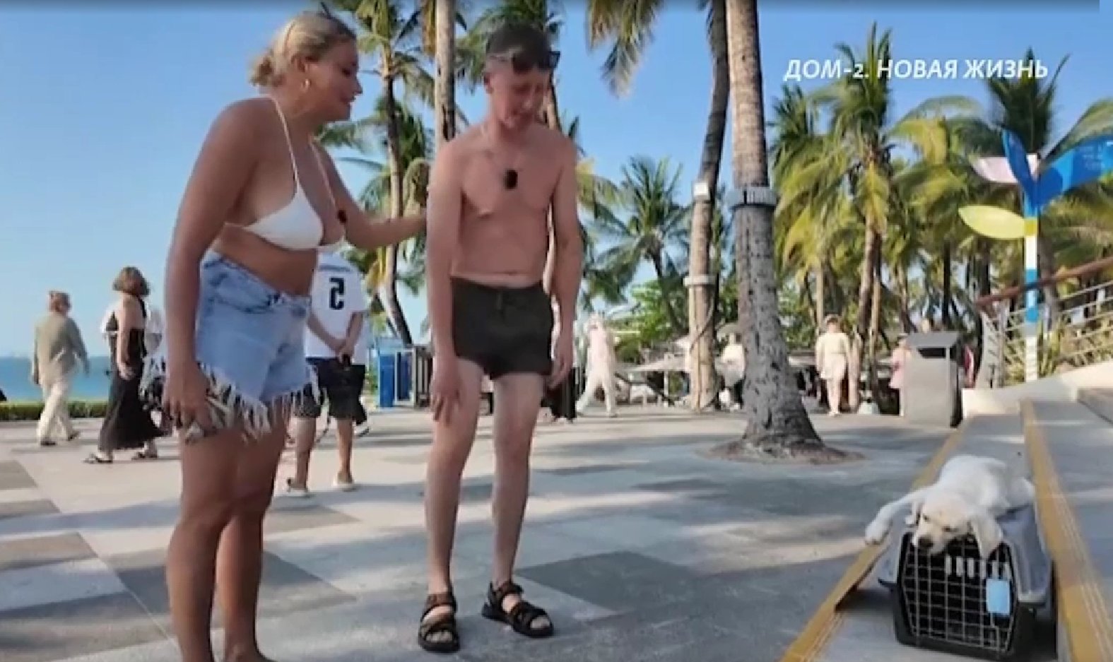 Альберт Гракович возмущён тем, как умело разводит его на деньги Вероника