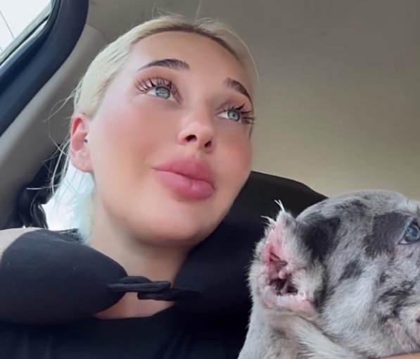 Настя Стецевьят оказалась с собаками на улице в Таиланде