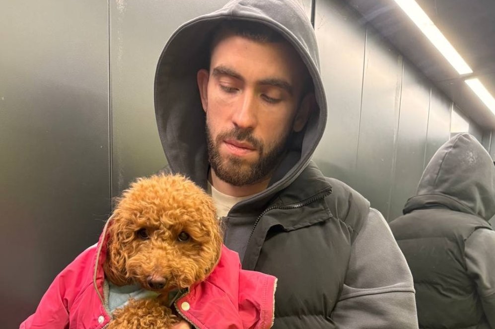 Катя Квашникова сообщила о том, что её собаке сделали операцию