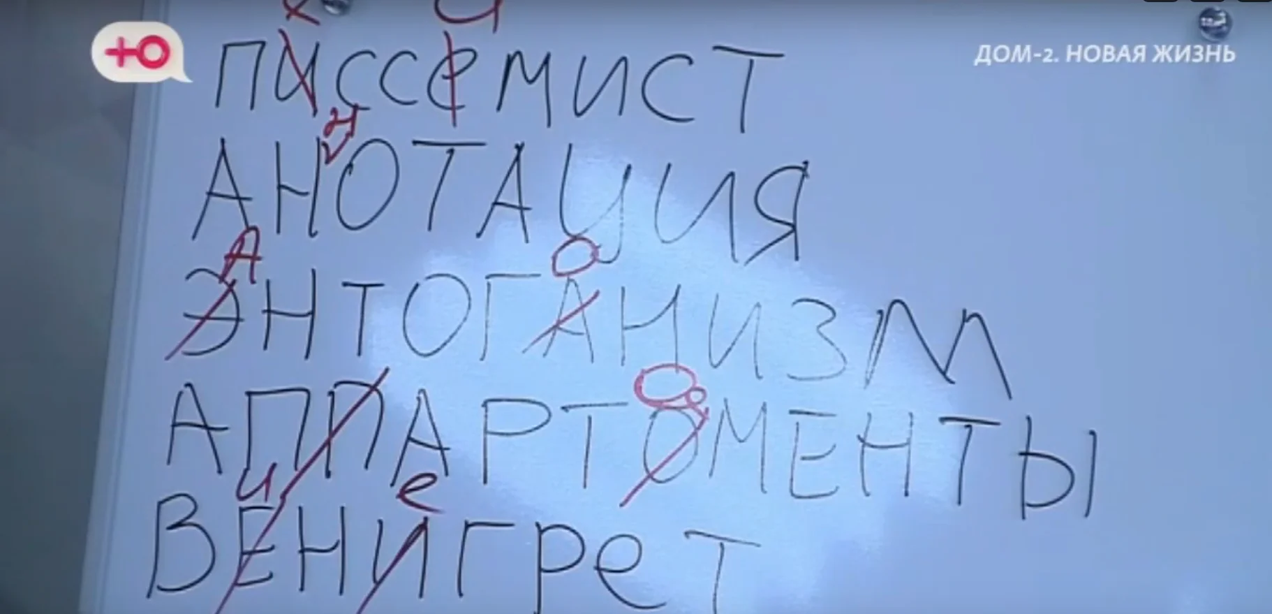 Самым неграмотным топчиком Дома 2 оказался Тигран Салибеков