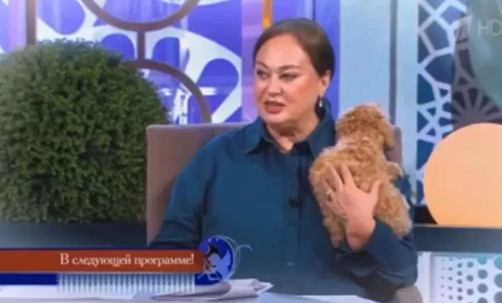 Лариса Гузеева не помогла найти Дмитрию Шишкану невесту в "Давай поженимся"